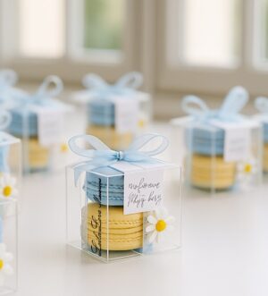 Customized Macaron favors- 12 boxes